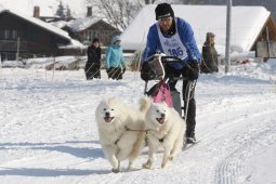 Lenk 2012 SM